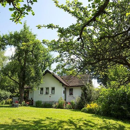 Ferienhaus Am Alten Bahndammヴァルトザッセン エクステリア 写真